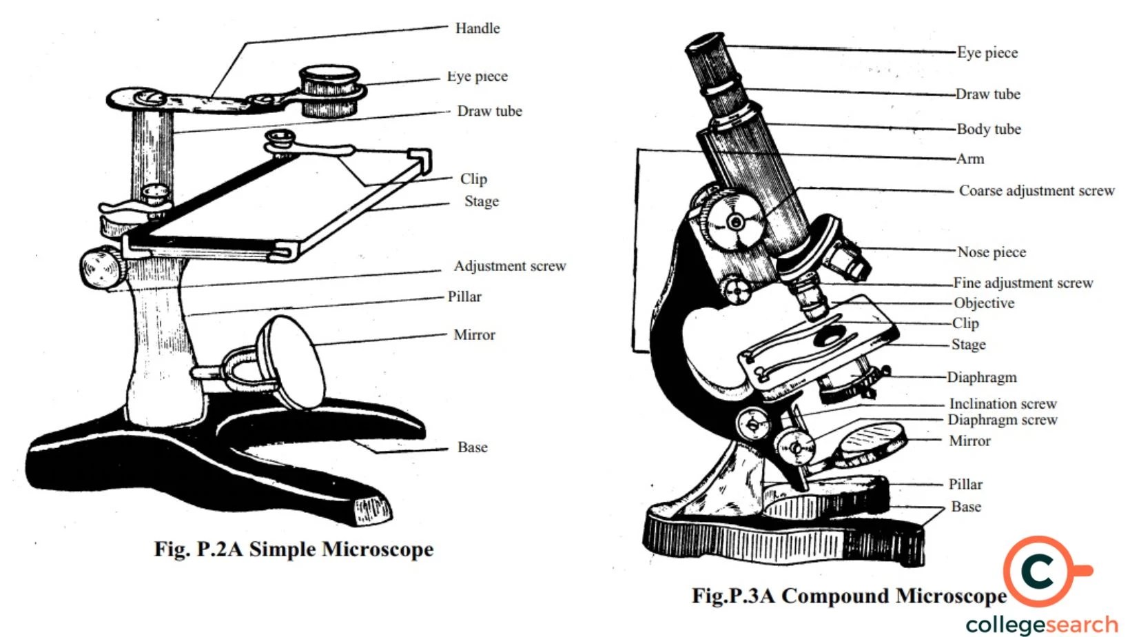 Simple Microscope Inventions, Parts, Principles, Magnification, Image